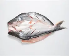 关于巴l??`&趐岬譺)?y簐?k禛嬨?的信息